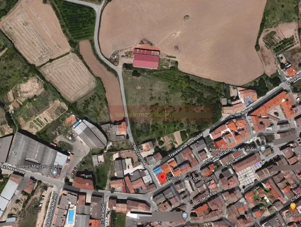 Spot image