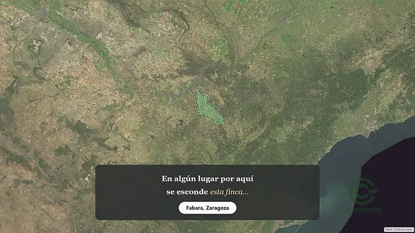 Spot image