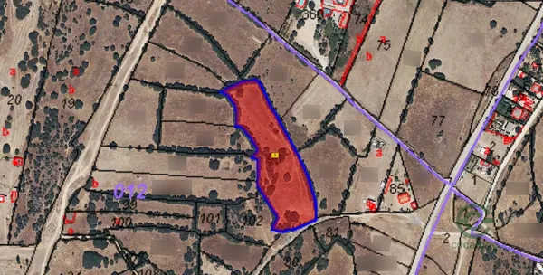 Spot image