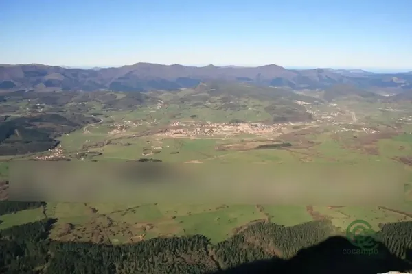 Spot image