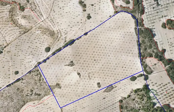 Spot image