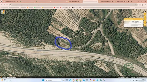 Spot image