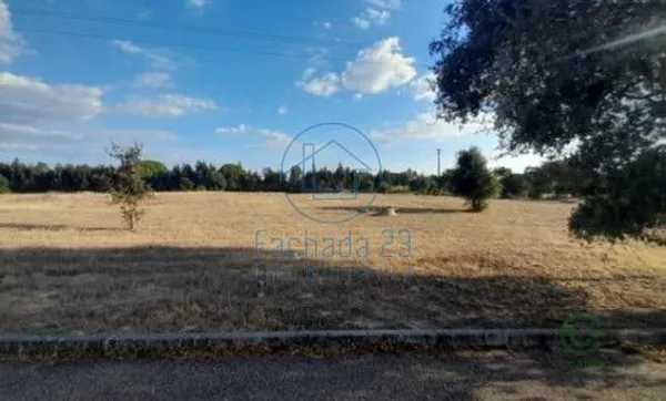 Spot image