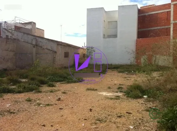 Spot image
