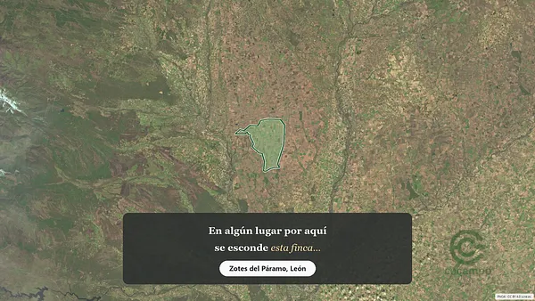 Spot image