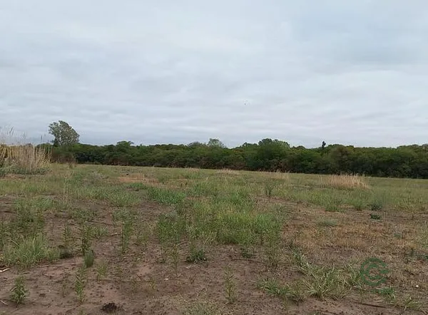 Finca agrícola de 2,55 ha en venta en Córdoba