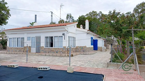 Spot image