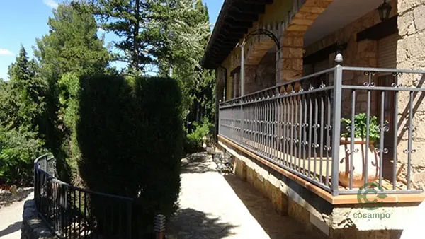 Spot image