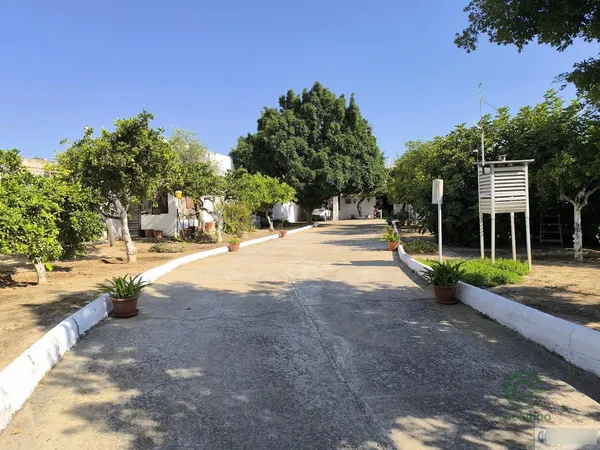 Spot image
