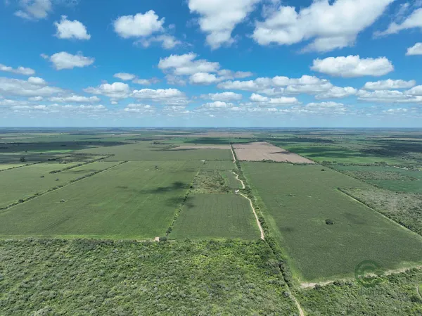 Finca agrícola de 177 ha en venta en Córdoba