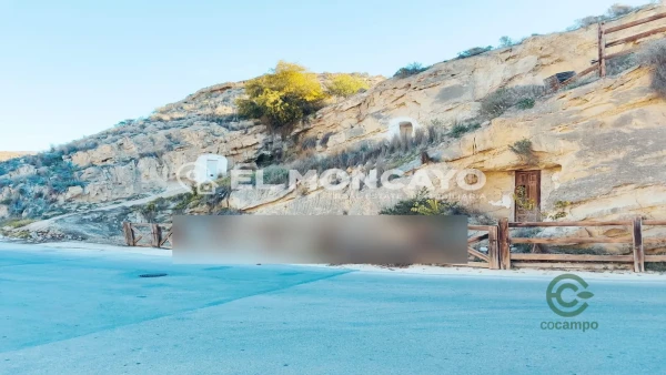 Spot image