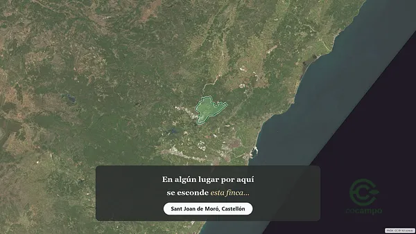 Spot image
