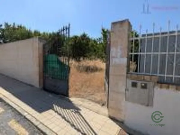 Spot image