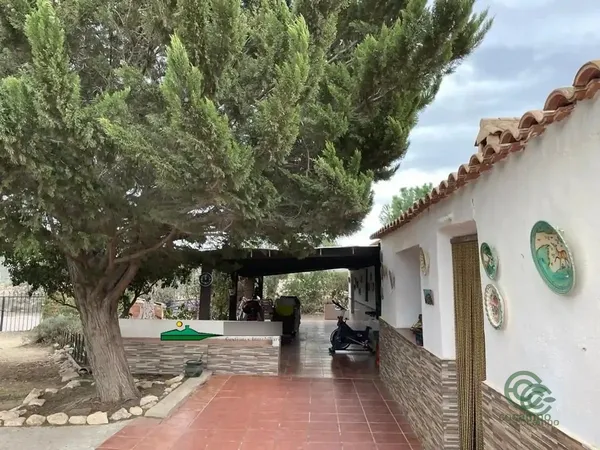 Spot image