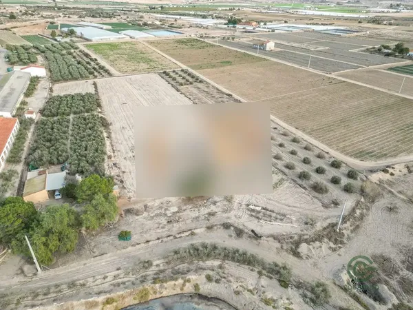 Spot image