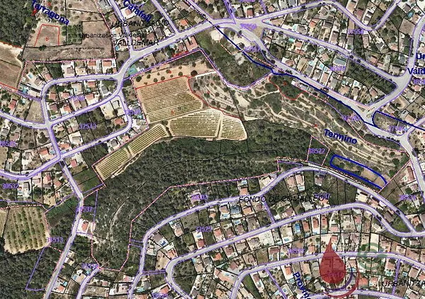 Spot image