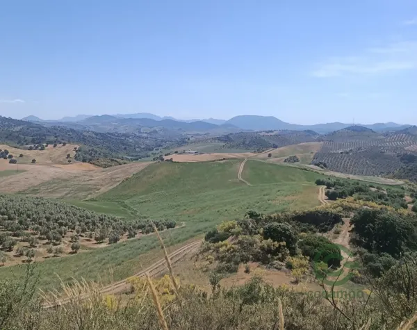Finca agrícola de 11 ha en venta en Sevilla