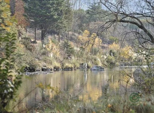 Finca rústica de 0,59 ha en venta en Córdoba
