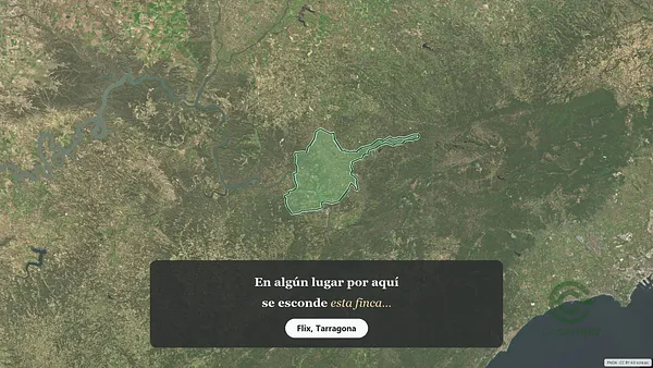 Spot image