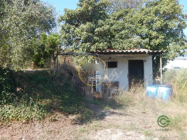 Spot image