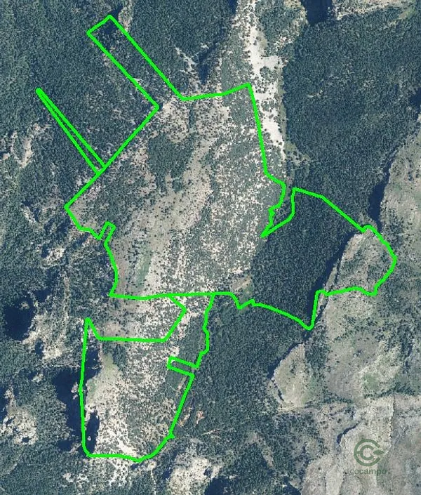 Spot image