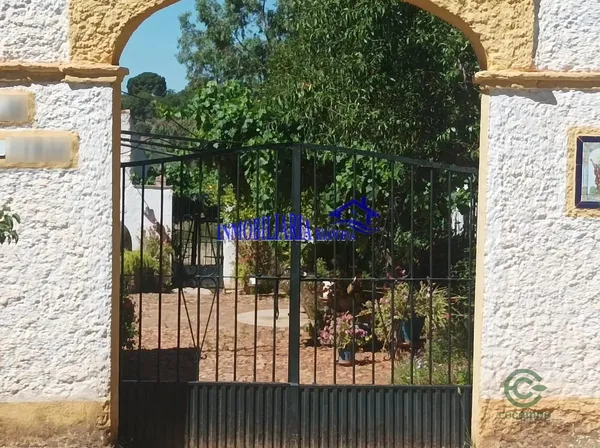 Spot image