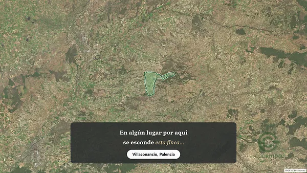 Spot image