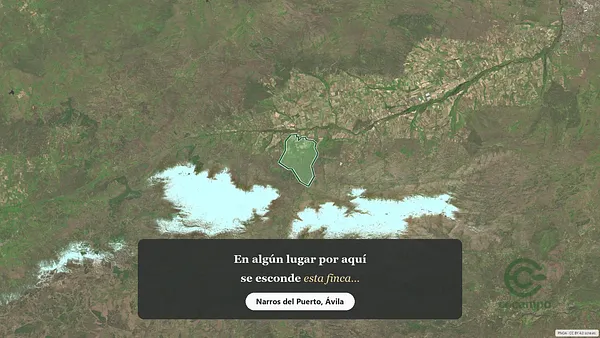 Spot image