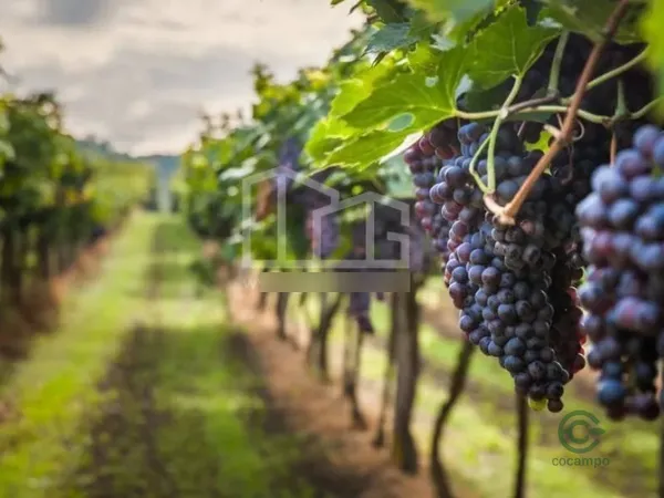 Finca agricola di 2,5 ha per vendita a Lombardia