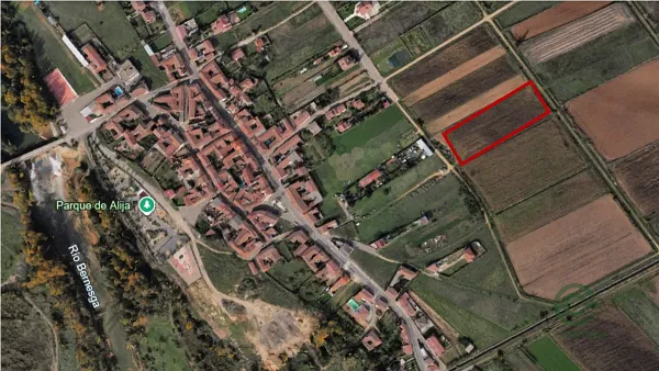 Spot image