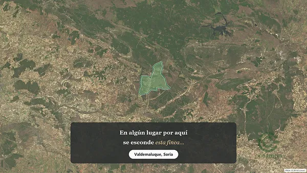 Spot image