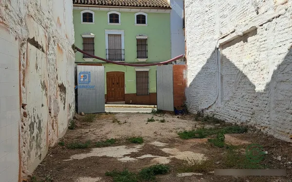 Spot image