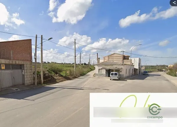 Spot image