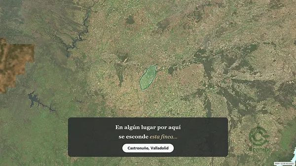Spot image
