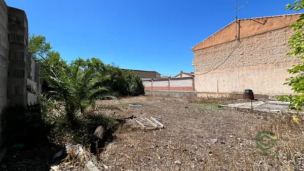 Spot image