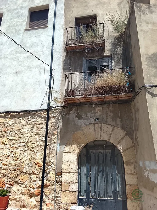 Spot image