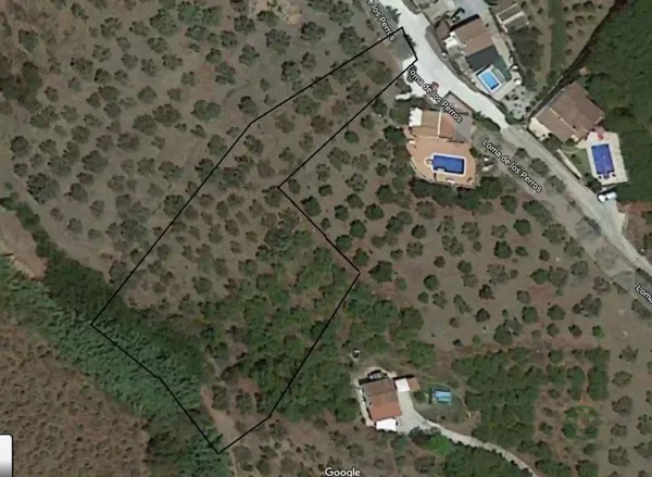 Spot image