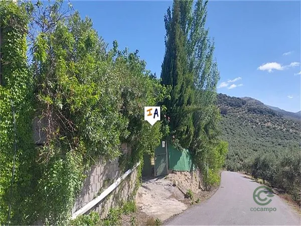 Spot image