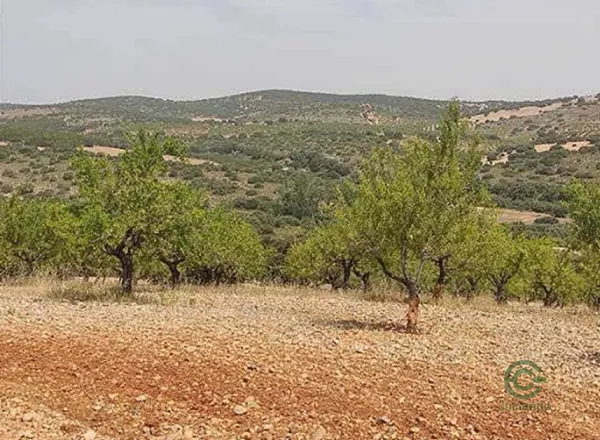 Finca rústica de 367 ha en venta en Albacete