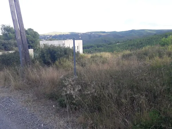 Spot image