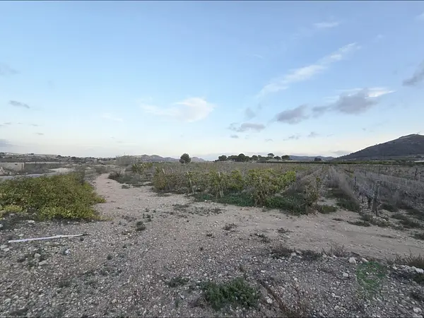 Spot image