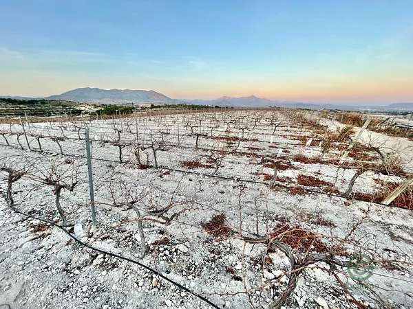 Finca rústica de 3,8865 ha en venta en Novelda, Alicante