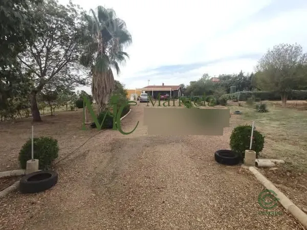 Spot image