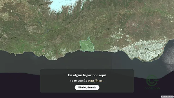 Spot image