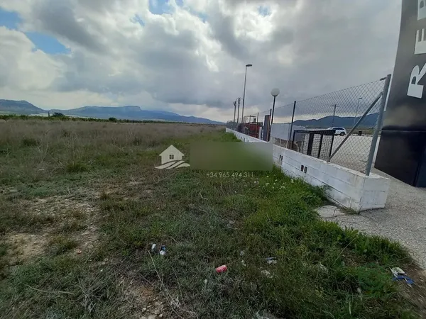 Spot image