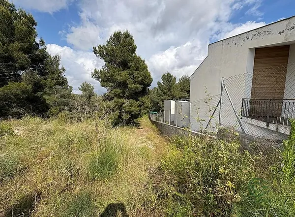 Spot image