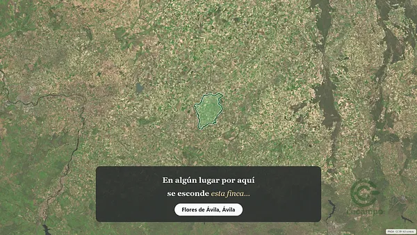 Spot image