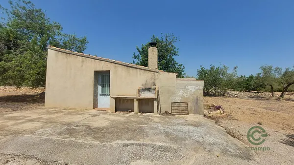 Spot image