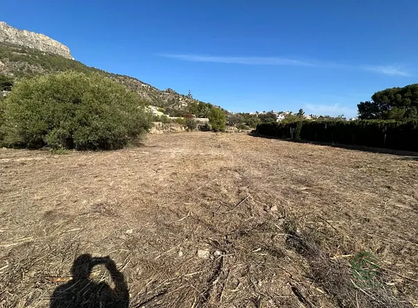Spot image