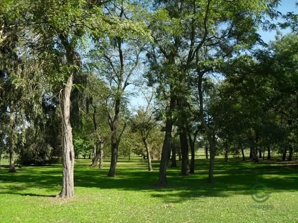 Finca agrícola de 460 ha en venta en Buenos aires